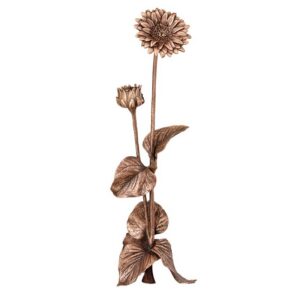 Sonnenblume 29681.1