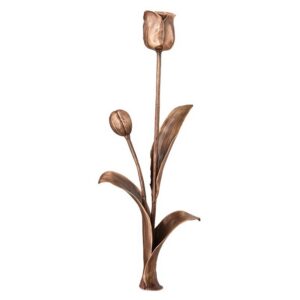 Tulpe 29695.1
