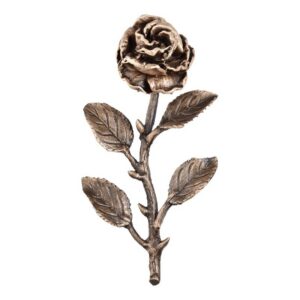 Rose 52569.1