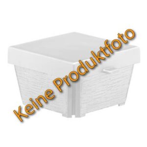 Weihwasserkessel BW221